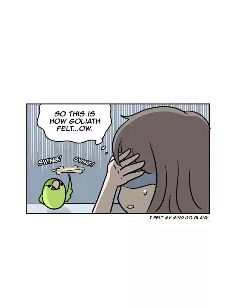 A Budgie's Life Chapter 372: Ep.370: