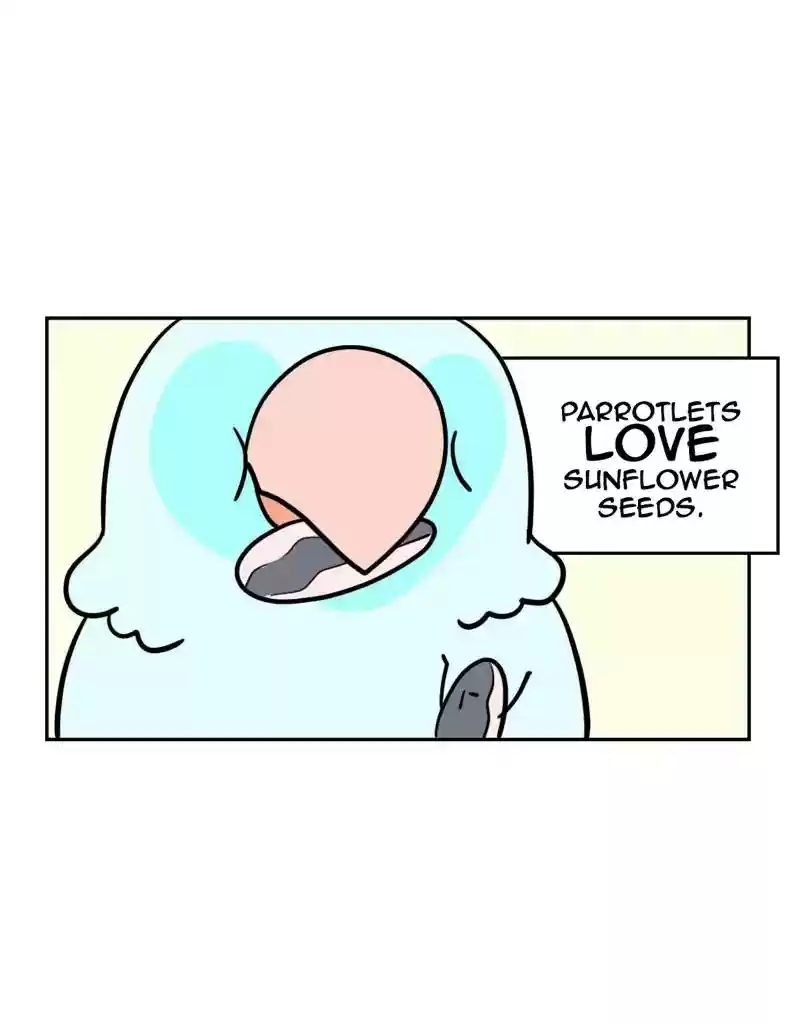 A Budgie's Life Chapter 373: Ep.371: