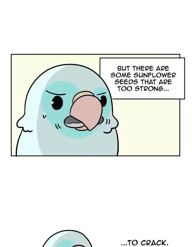 A Budgie's Life Chapter 373: Ep.371: