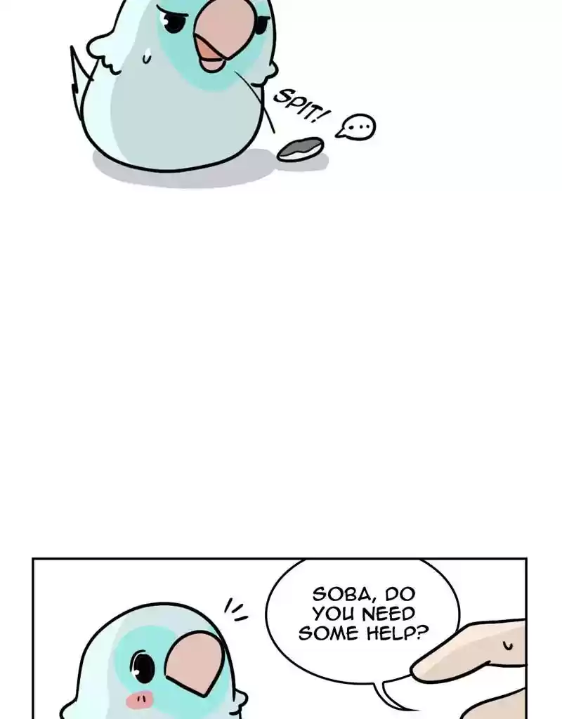 A Budgie's Life Chapter 373: Ep.371: