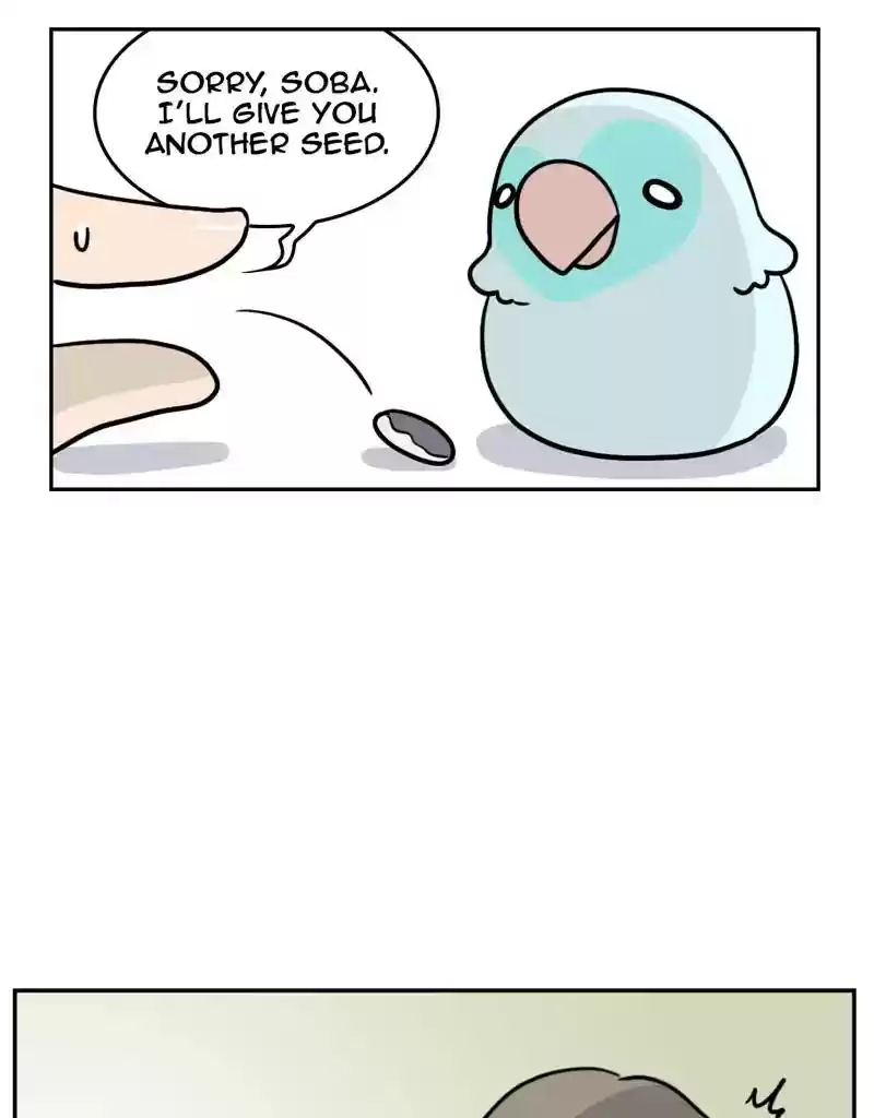 A Budgie's Life Chapter 373: Ep.371: