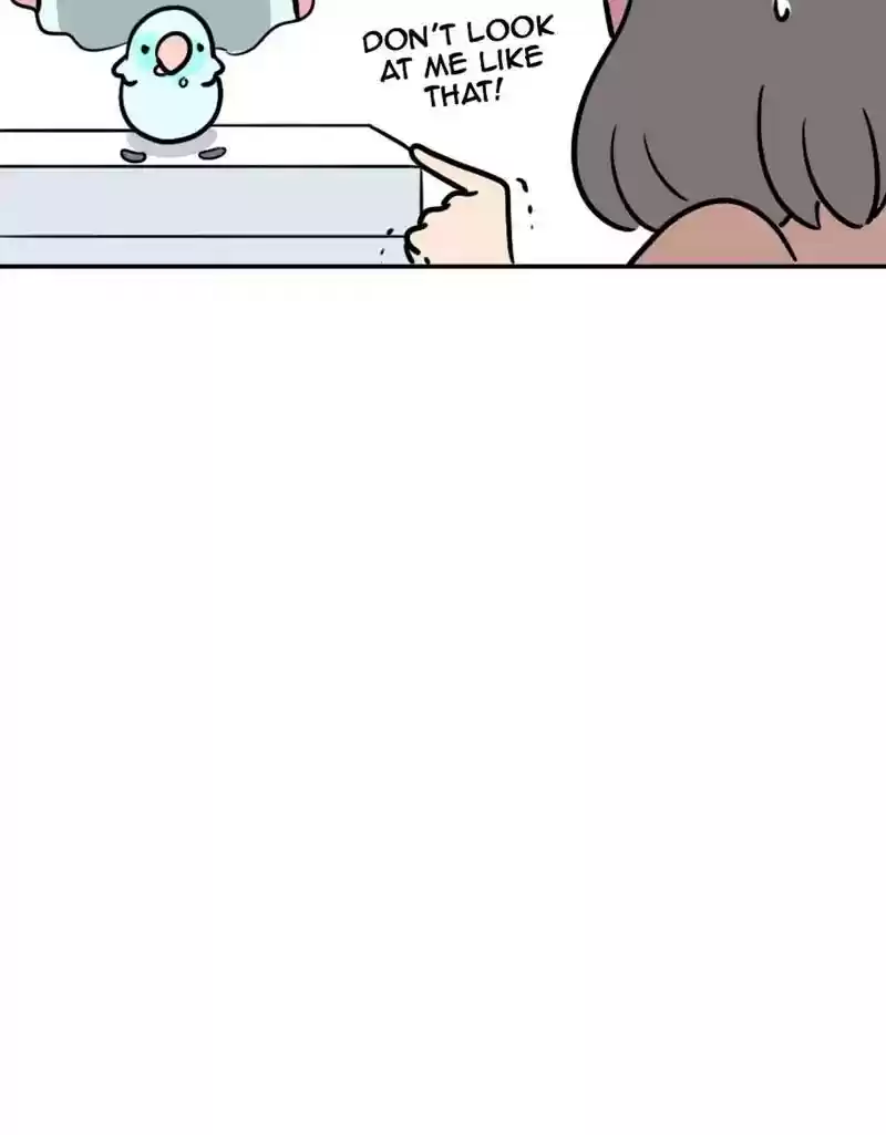 A Budgie's Life Chapter 373: Ep.371: