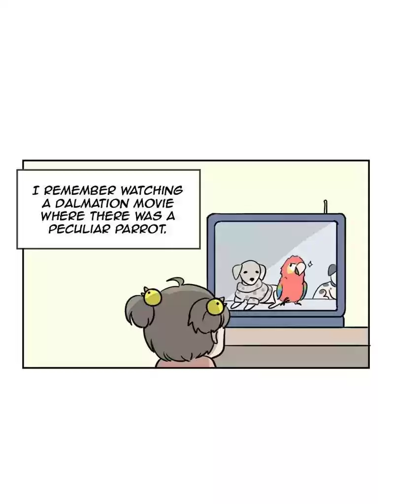 A Budgie's Life Chapter 374: Ep.372: