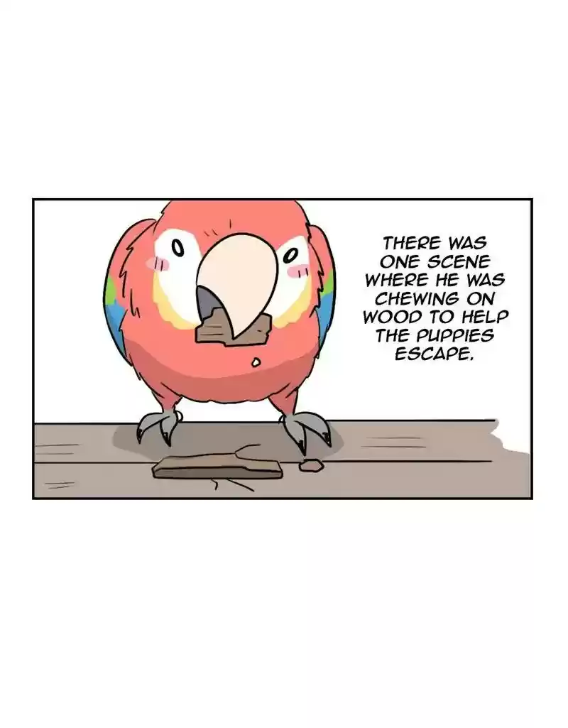 A Budgie's Life Chapter 374: Ep.372: