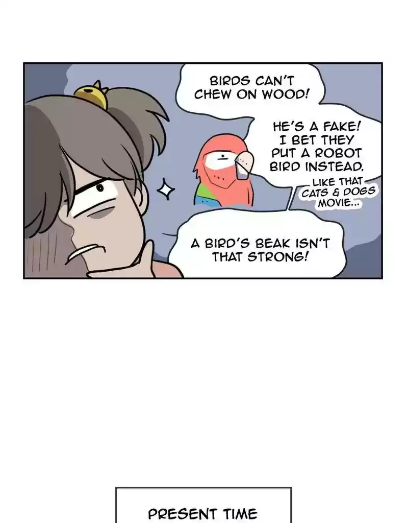 A Budgie's Life Chapter 374: Ep.372: