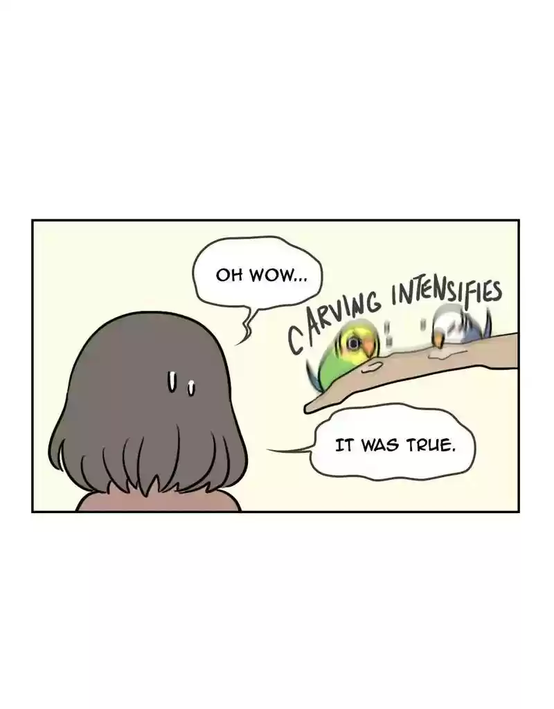 A Budgie's Life Chapter 374: Ep.372: