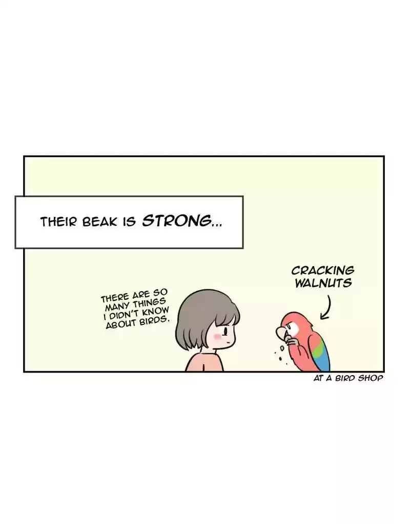 A Budgie's Life Chapter 374: Ep.372: