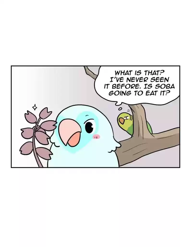 A Budgie's Life Chapter 375: Ep.373: