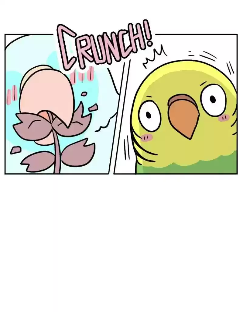 A Budgie's Life Chapter 375: Ep.373: