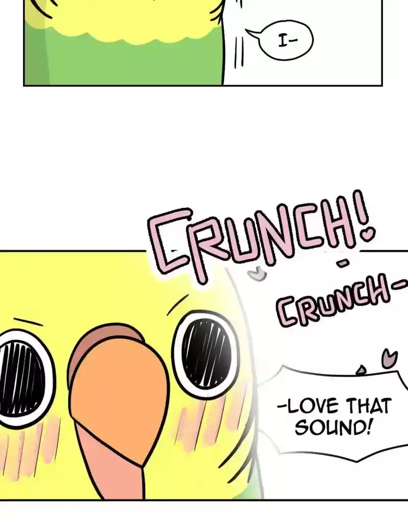 A Budgie's Life Chapter 375: Ep.373: