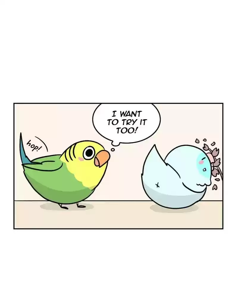 A Budgie's Life Chapter 375: Ep.373:
