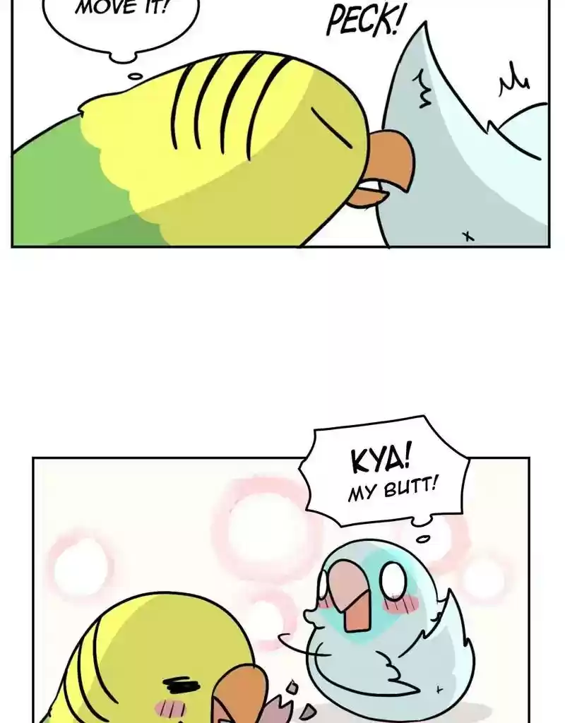 A Budgie's Life Chapter 375: Ep.373: