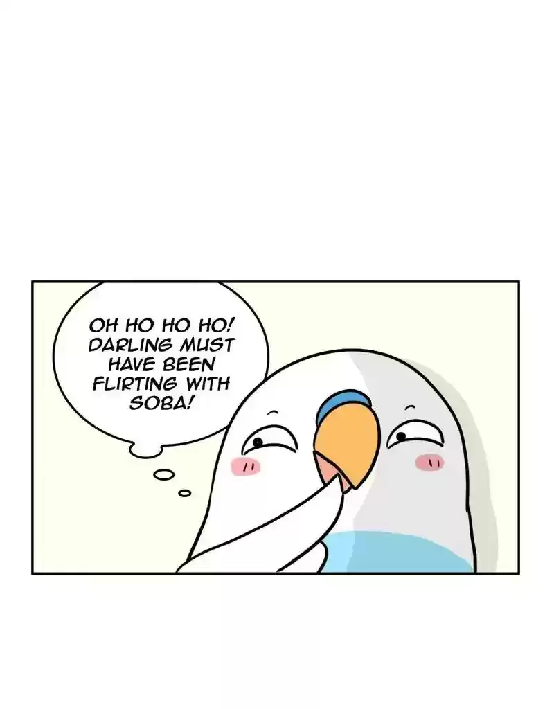 A Budgie's Life Chapter 375: Ep.373: