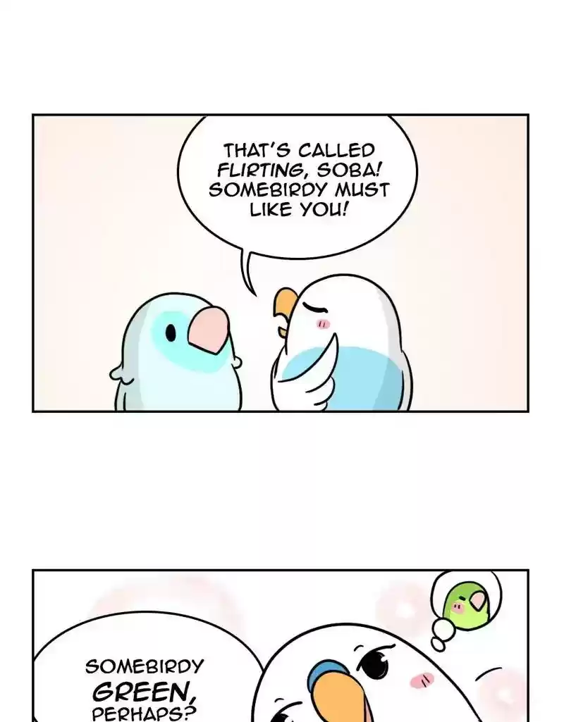 A Budgie's Life Chapter 375: Ep.373: