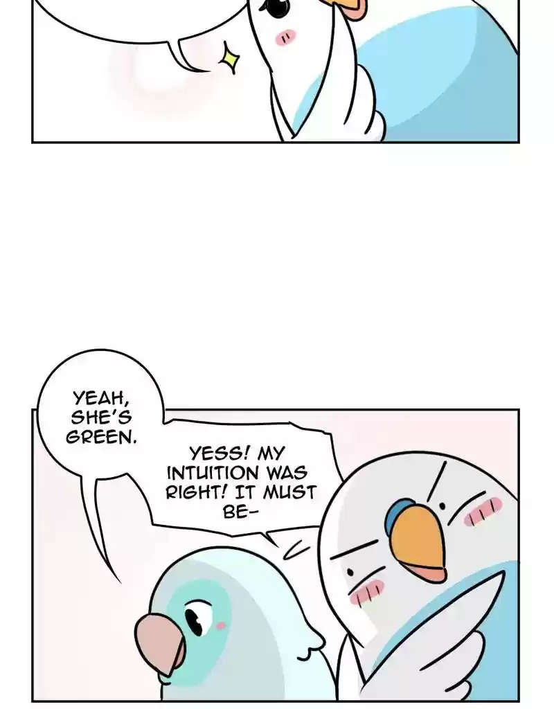 A Budgie's Life Chapter 375: Ep.373: