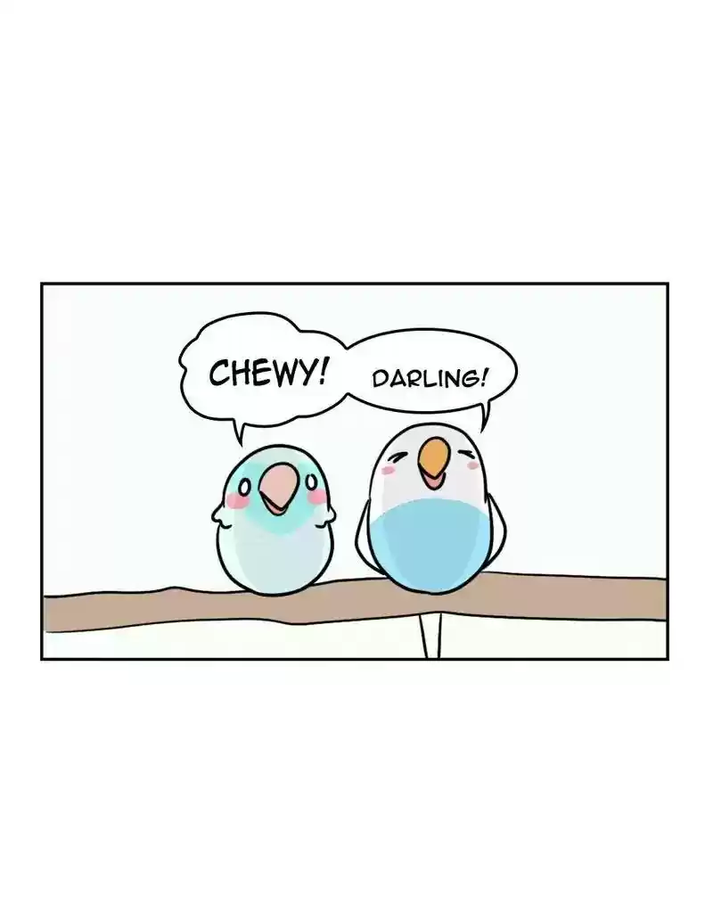 A Budgie's Life Chapter 375: Ep.373: