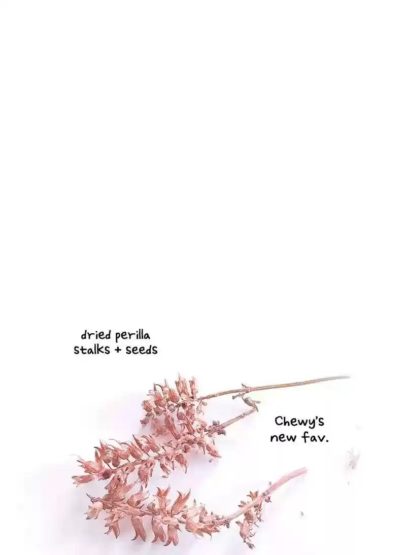 A Budgie's Life Chapter 375: Ep.373: