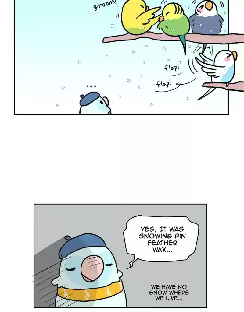 A Budgie's Life Chapter 376: Ep.374: