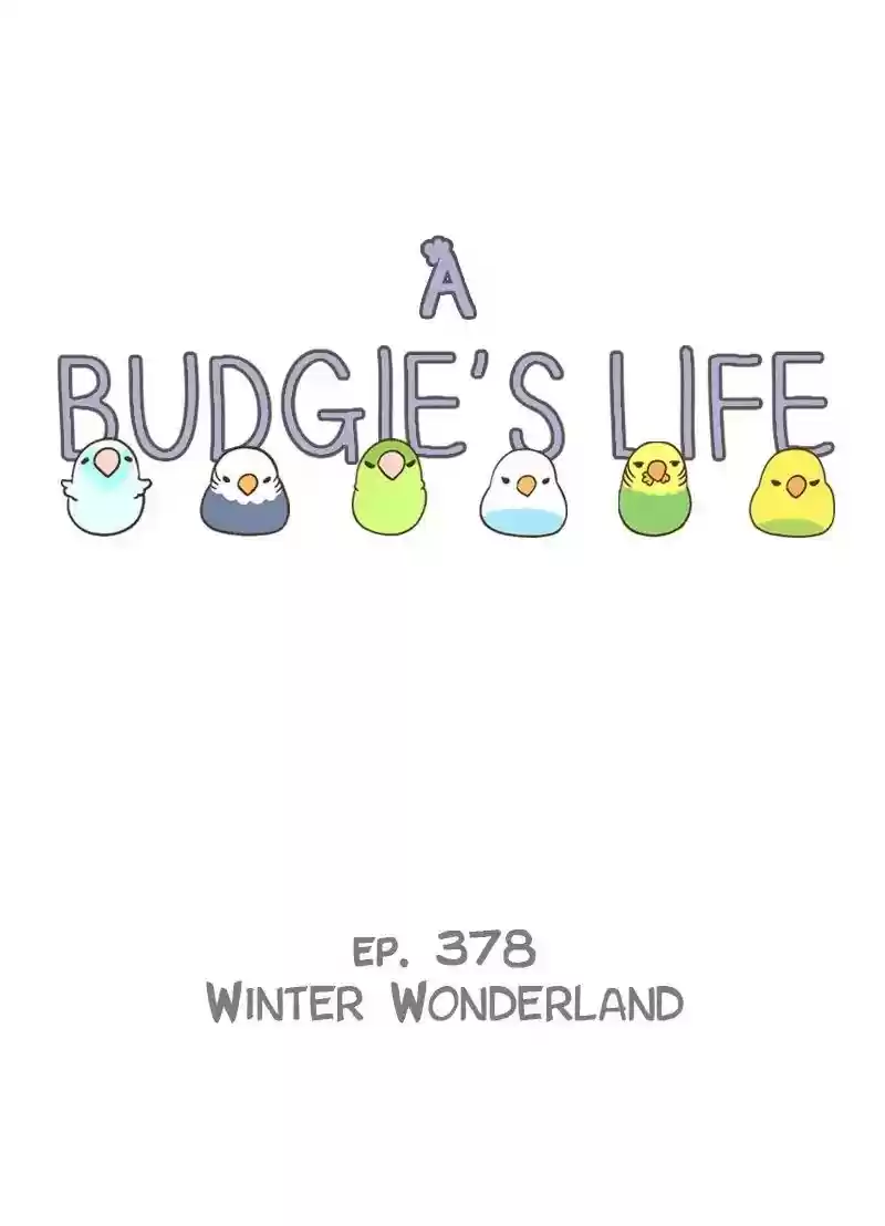 A Budgie's Life Chapter 378: Ep.376:
