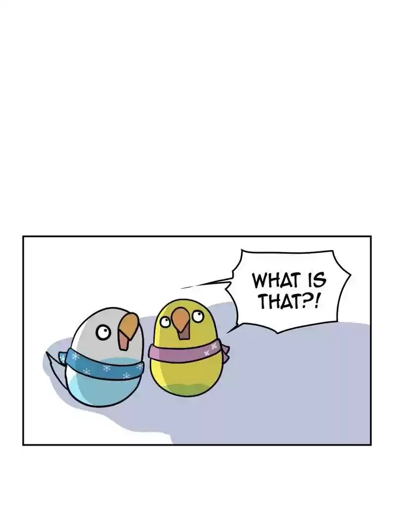 A Budgie's Life Chapter 378: Ep.376: