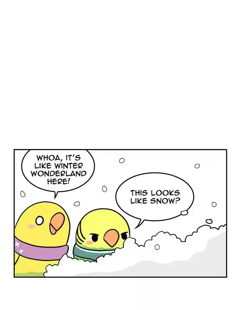 A Budgie's Life Chapter 378: Ep.376: