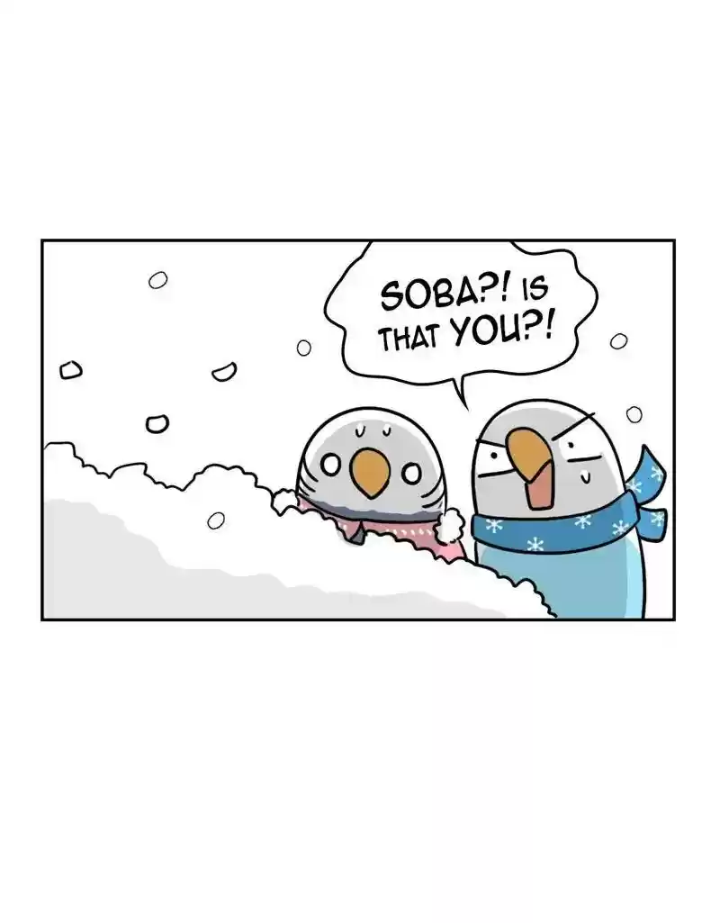 A Budgie's Life Chapter 378: Ep.376: