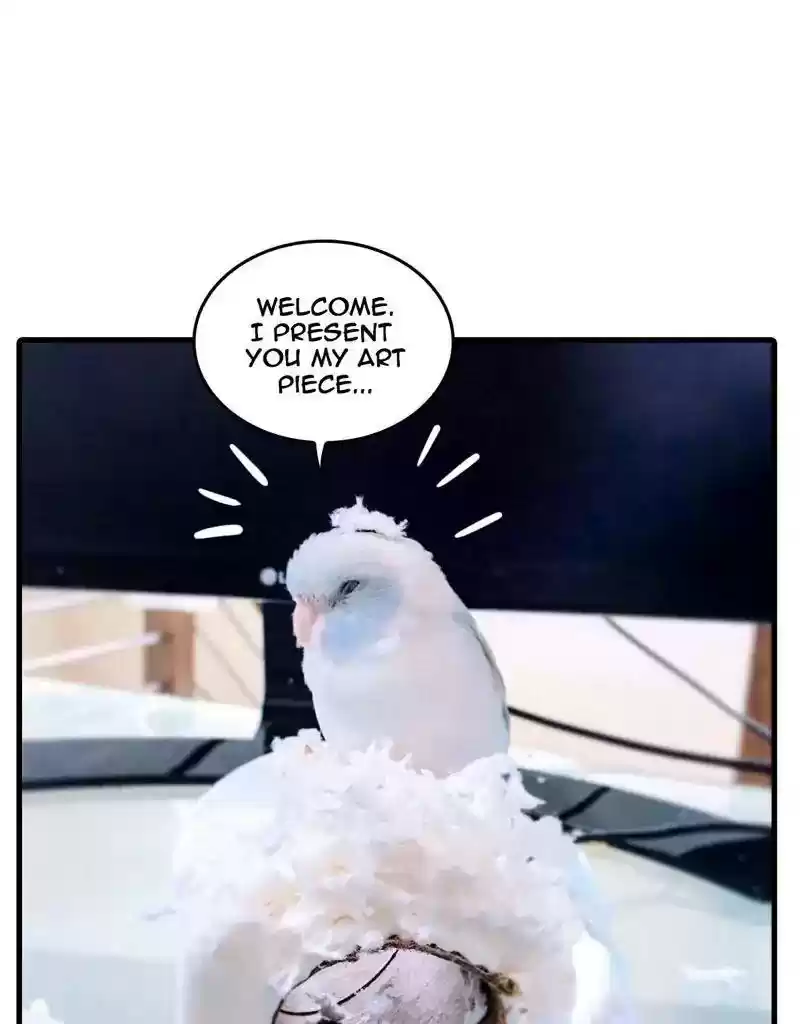 A Budgie's Life Chapter 378: Ep.376: