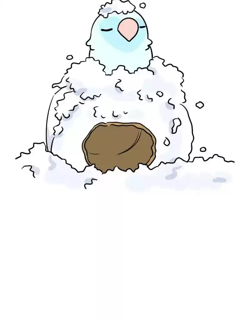 A Budgie's Life Chapter 378: Ep.376: