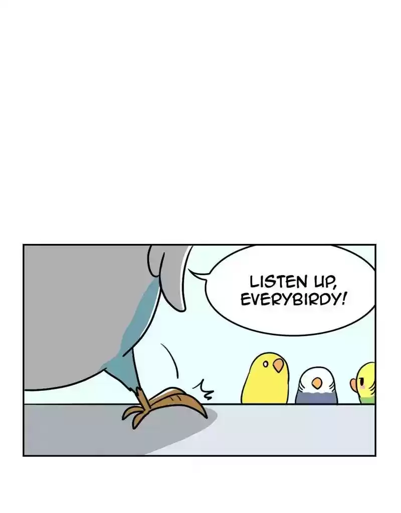 A Budgie's Life Chapter 379: Ep.377: