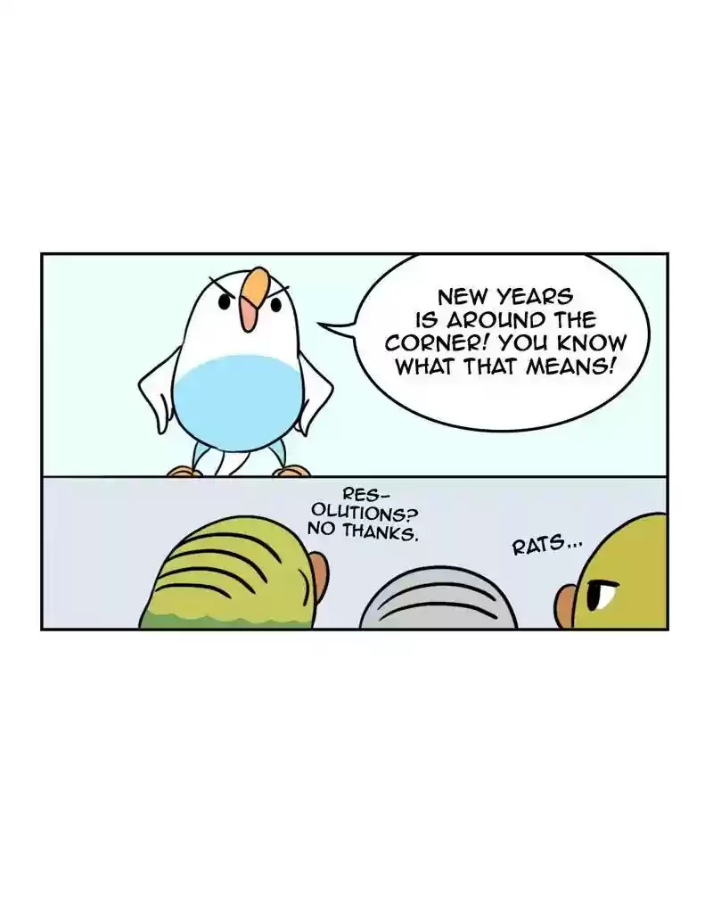 A Budgie's Life Chapter 379: Ep.377: