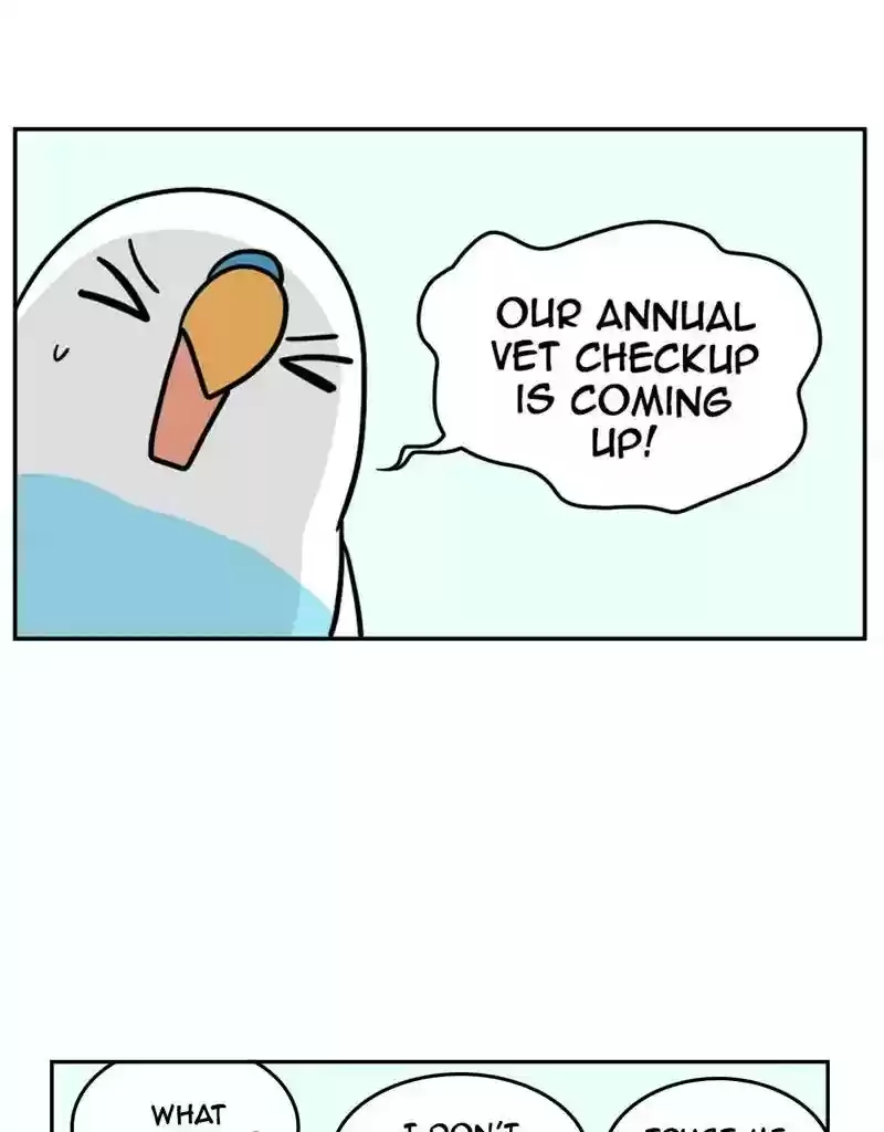A Budgie's Life Chapter 379: Ep.377: