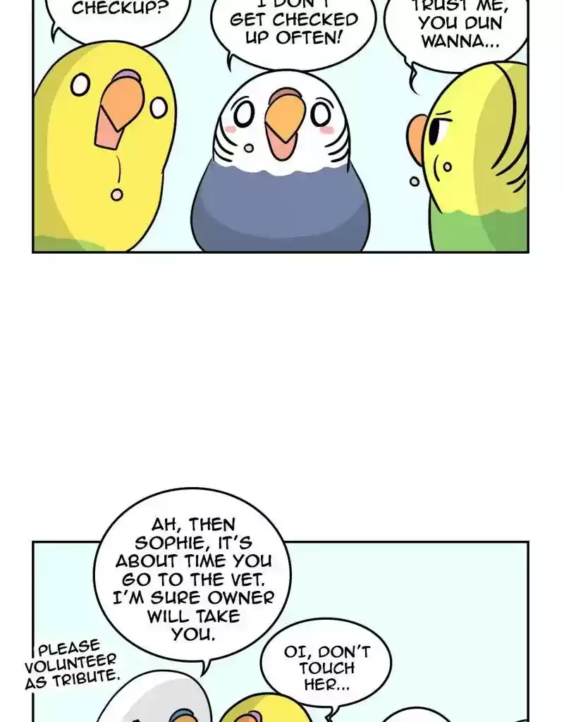 A Budgie's Life Chapter 379: Ep.377: