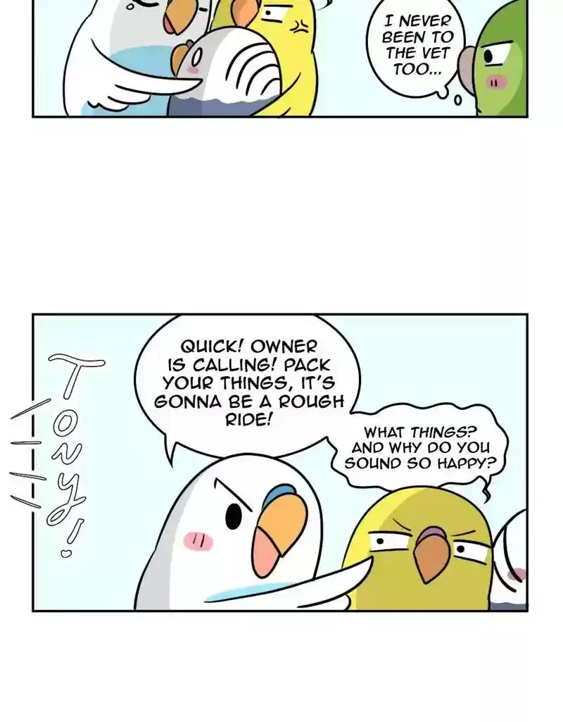 A Budgie's Life Chapter 379: Ep.377: