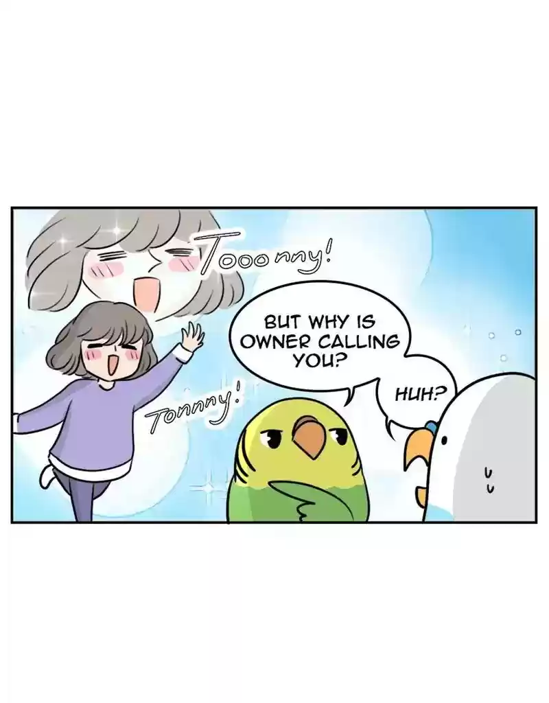 A Budgie's Life Chapter 379: Ep.377: