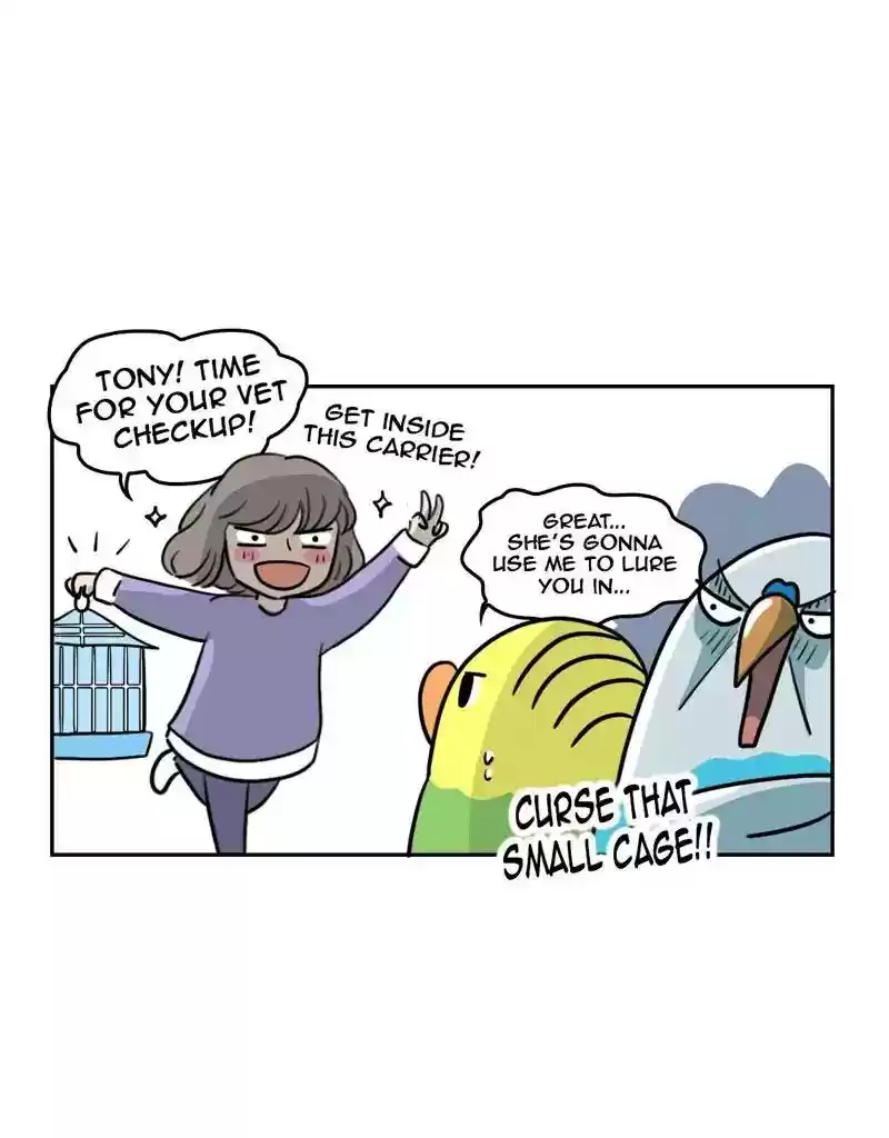 A Budgie's Life Chapter 379: Ep.377: