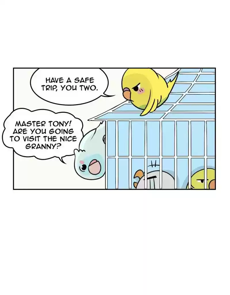 A Budgie's Life Chapter 379: Ep.377:
