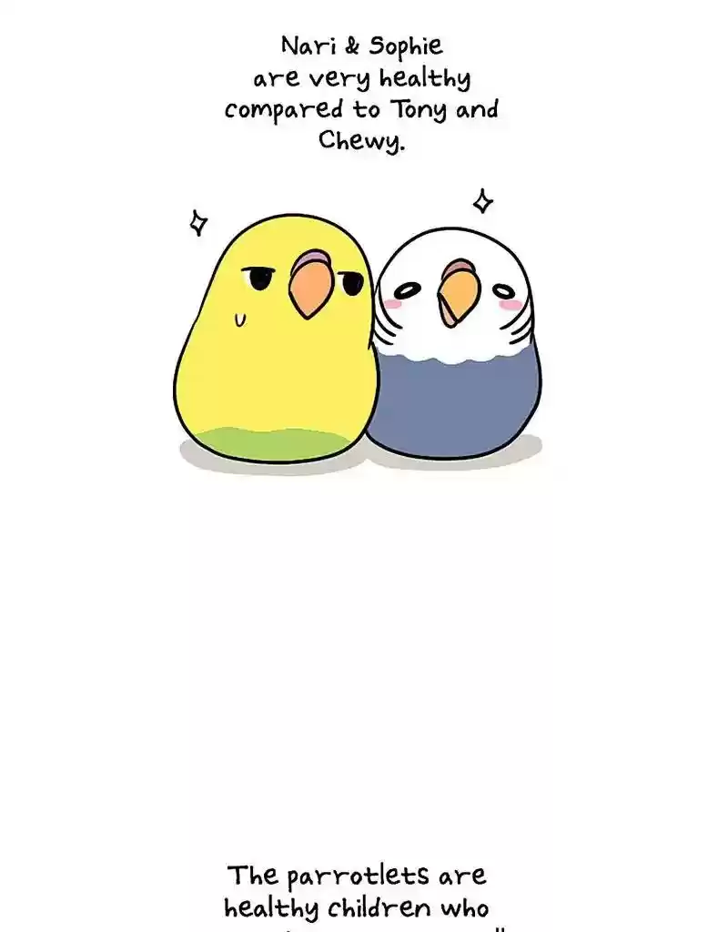 A Budgie's Life Chapter 379: Ep.377: