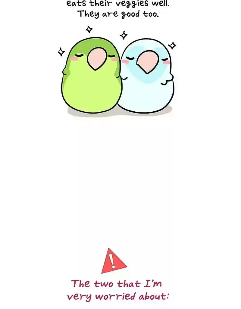 A Budgie's Life Chapter 379: Ep.377: