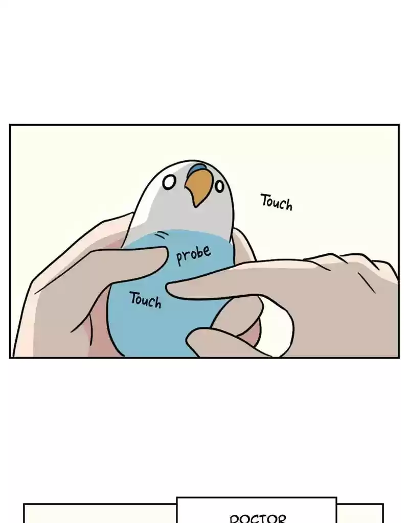 A Budgie's Life Chapter 379: Ep.377: