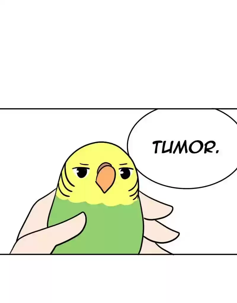 A Budgie's Life Chapter 379: Ep.377: