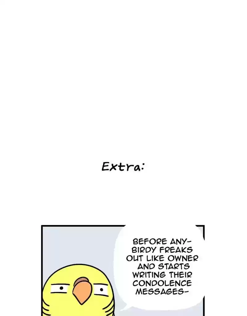 A Budgie's Life Chapter 379: Ep.377: