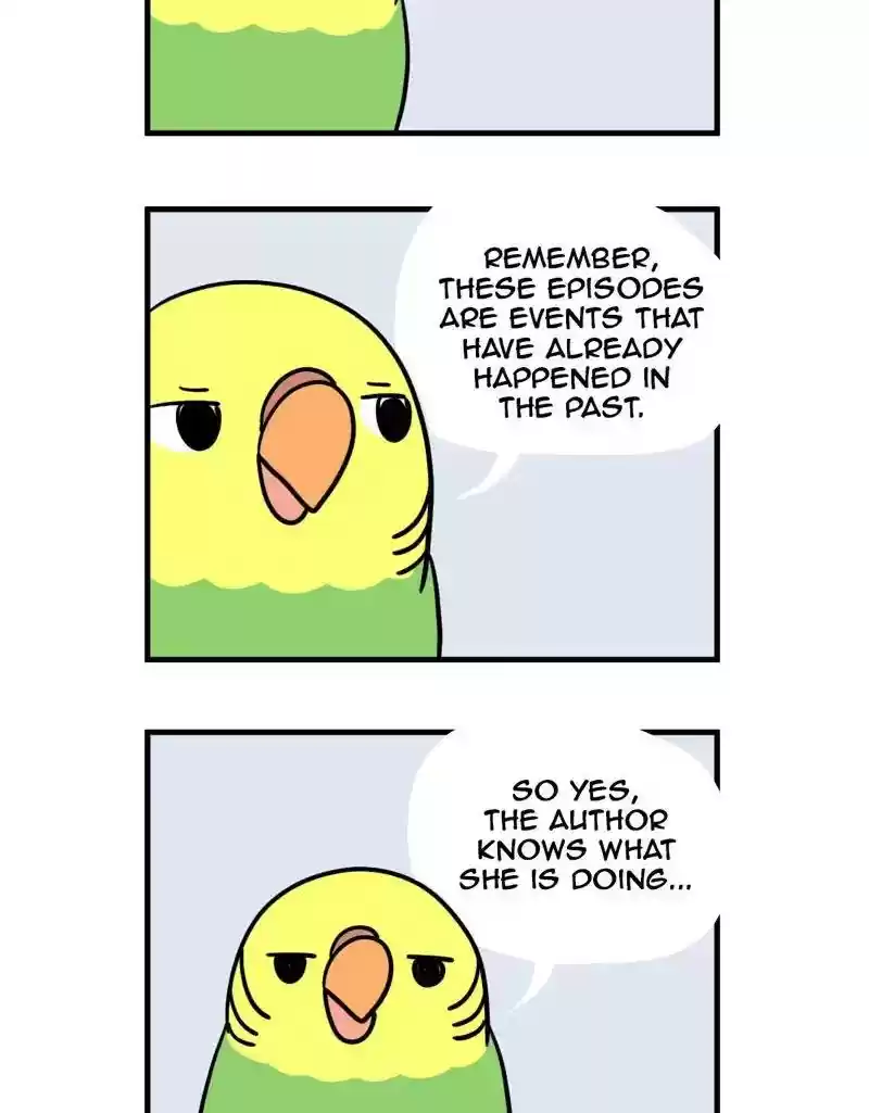 A Budgie's Life Chapter 379: Ep.377: