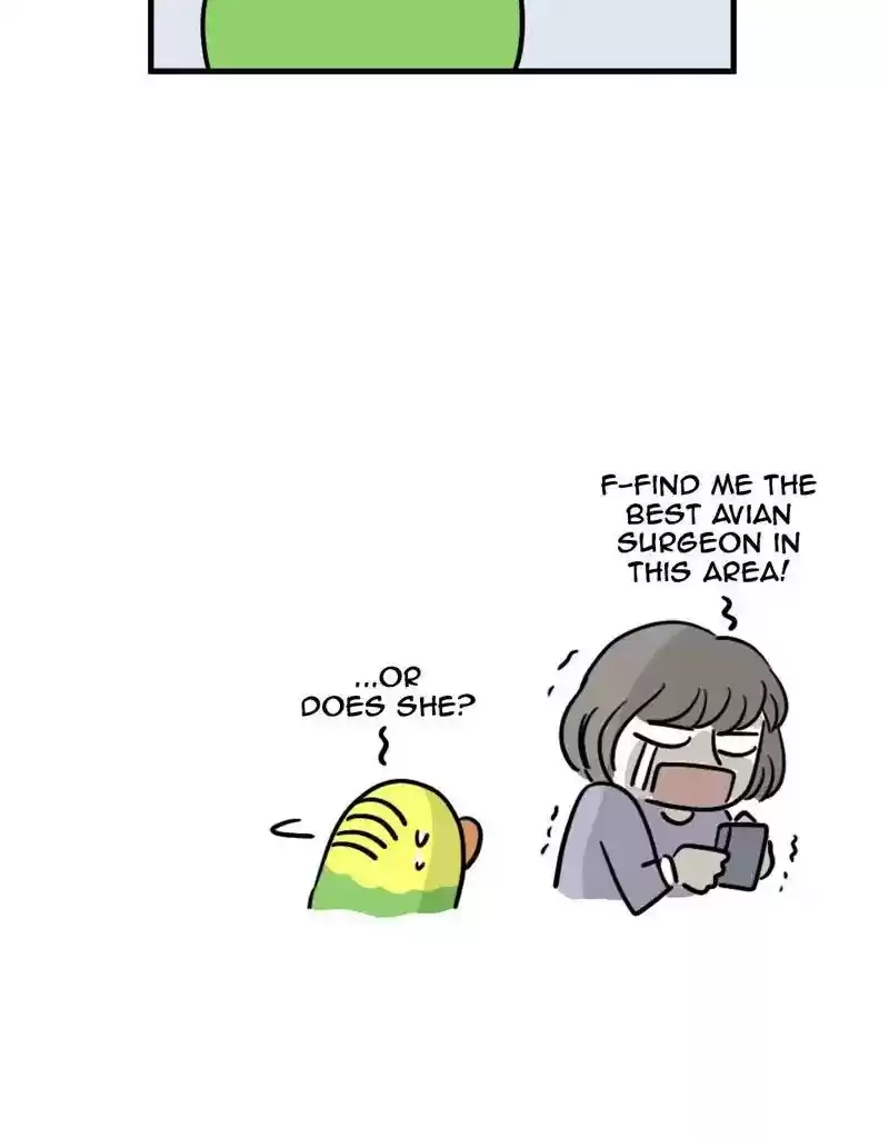 A Budgie's Life Chapter 379: Ep.377: