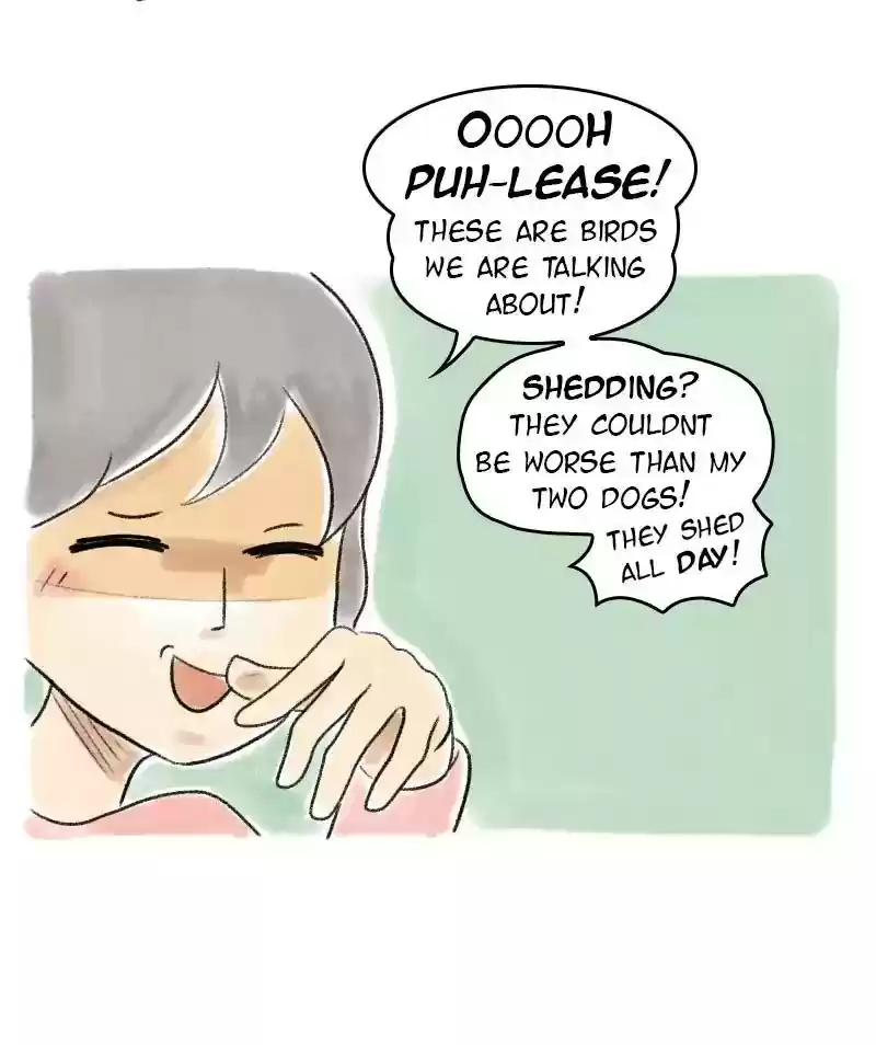 A Budgie's Life Chapter 38: Ep.38: