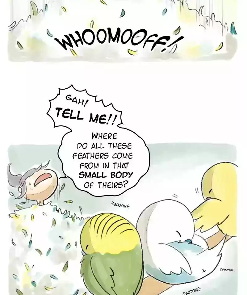 A Budgie's Life Chapter 38: Ep.38: