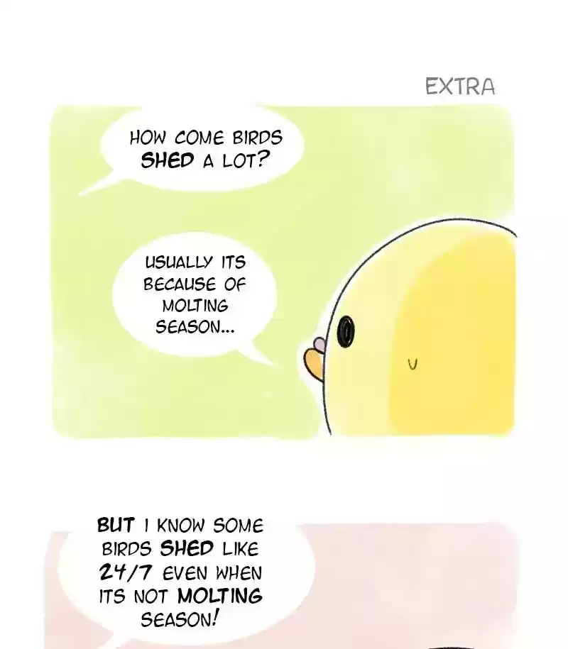 A Budgie's Life Chapter 38: Ep.38: