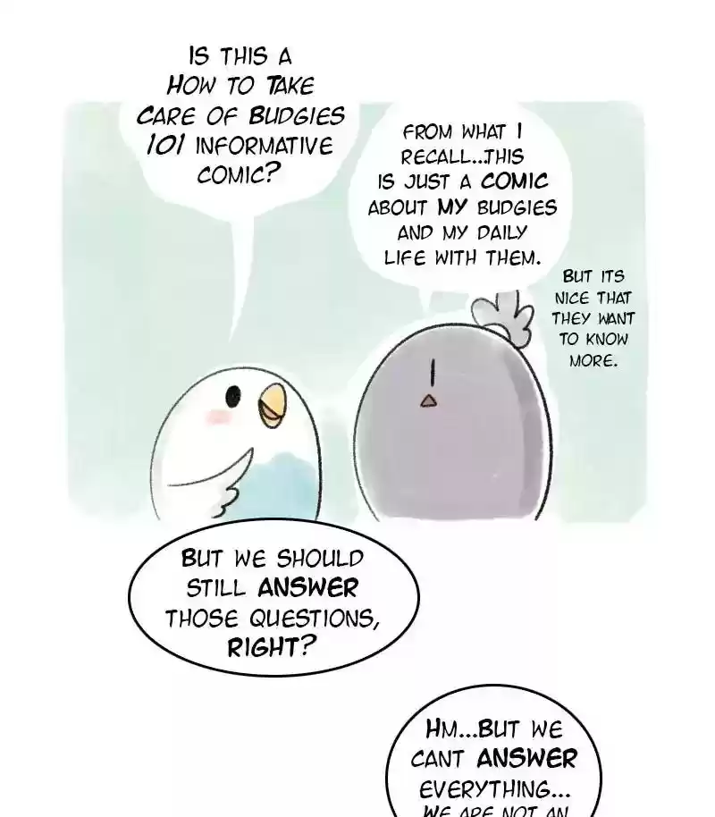 A Budgie's Life Chapter 38: Ep.38: