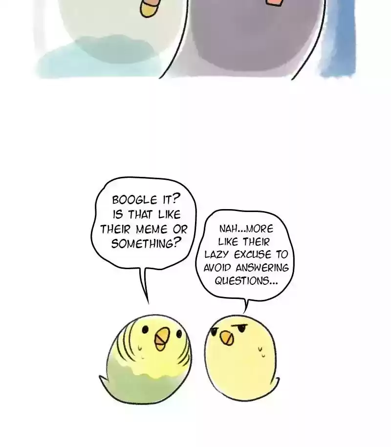 A Budgie's Life Chapter 38: Ep.38: