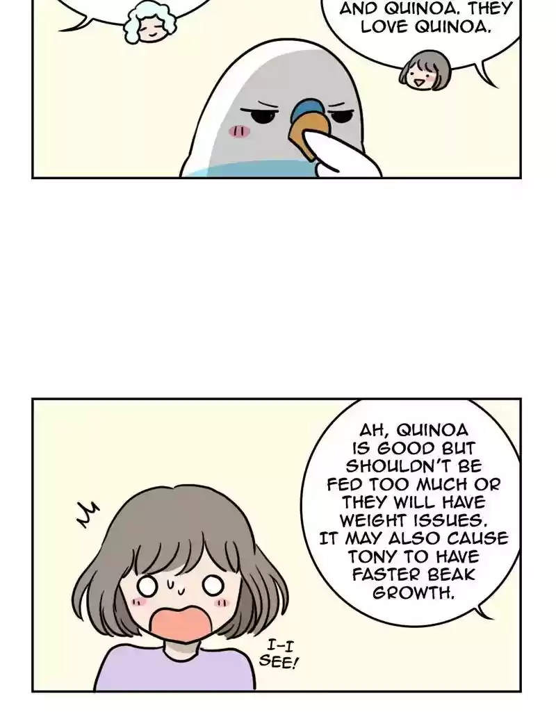 A Budgie's Life Chapter 380: Ep.378: