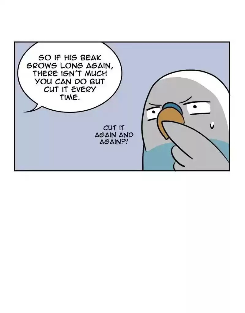 A Budgie's Life Chapter 380: Ep.378: